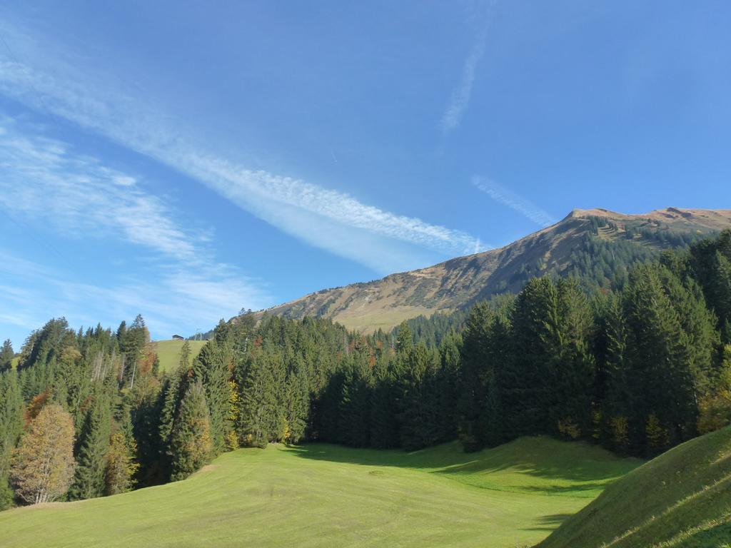 Walser Berg Chalets Riezlern Extérieur photo
